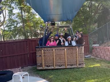 The Afternoon the Sky Fell Into the Petunias