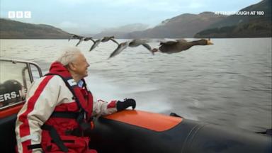 VIDEO: Sir David Attenborough celebrates his 100th birthday