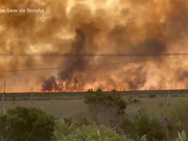 Florida Under the Flare The Brutal Truth of a Year Without Rain