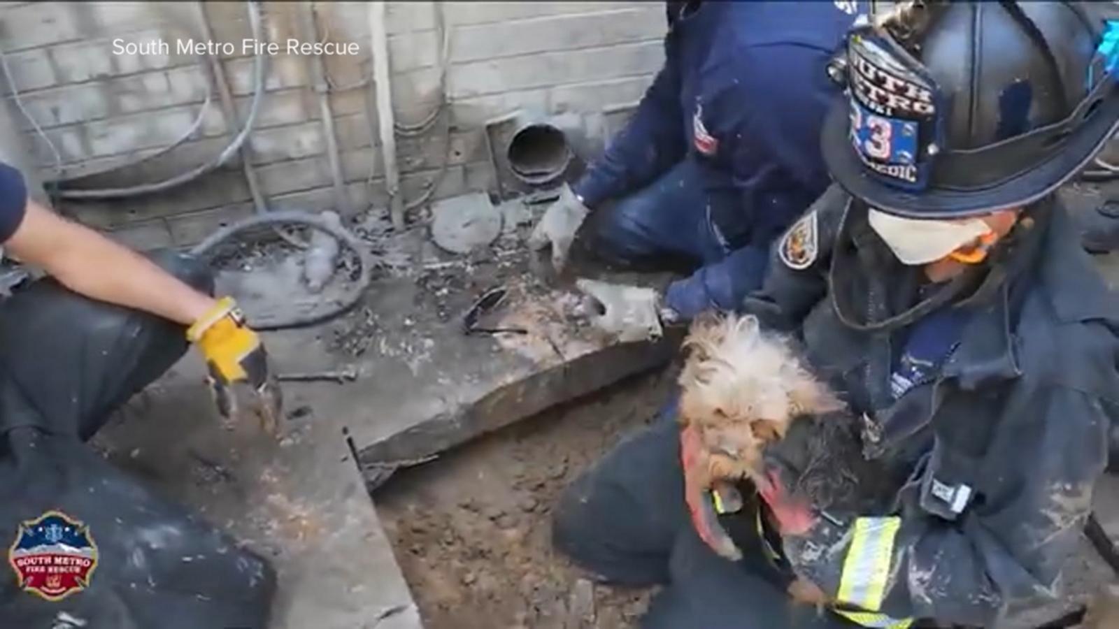 WATCH:  America Strong: Colorado firefighters rescue family's dog trapped under deck