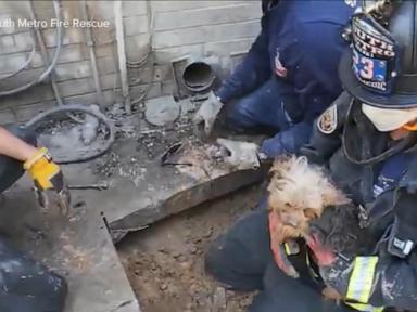 WATCH:  America Strong: Colorado firefighters rescue family's dog trapped under deck