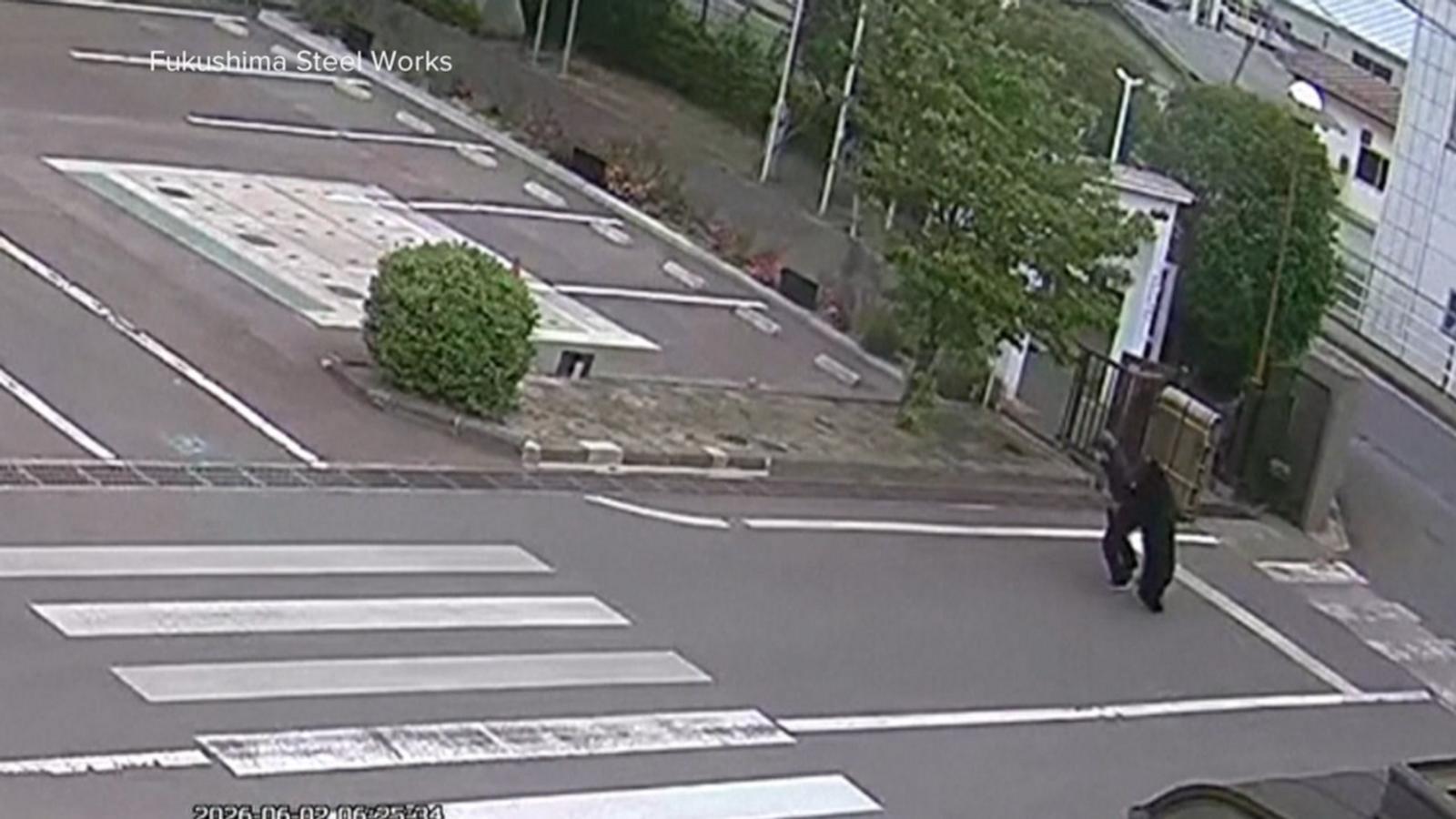 WATCH:  Bear attack injures 4 in Fukushima, Japan, amid surging population