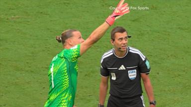 VIDEO: Growing debate over video replay at World Cup