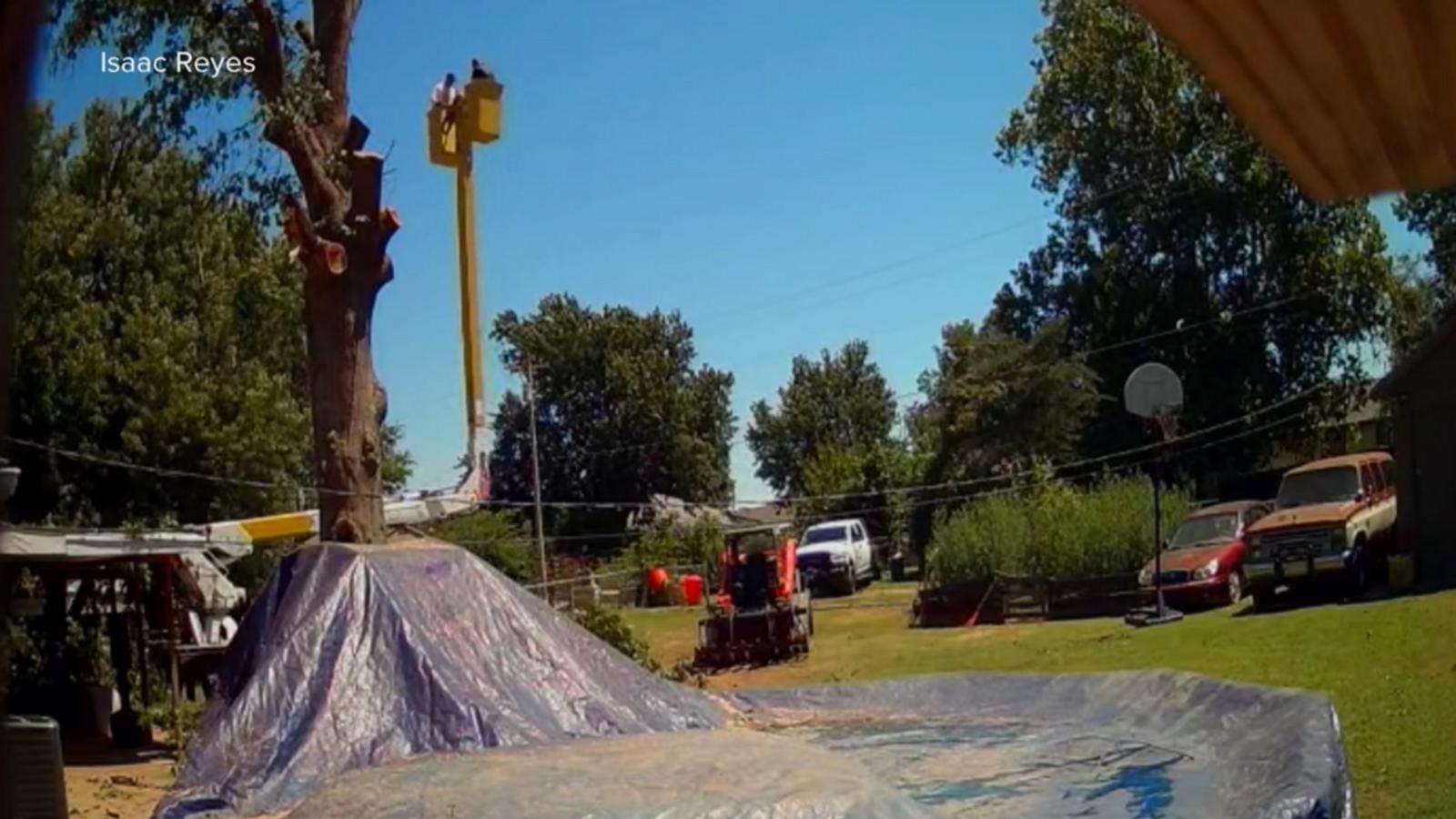 WATCH:  Oklahoma tree trimming brothers plummet after cable snaps