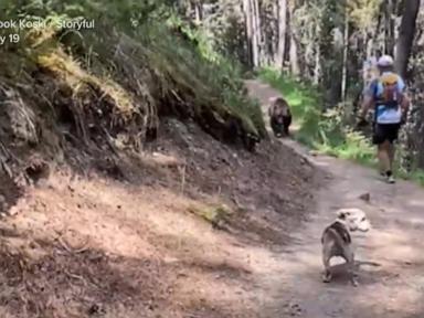 WATCH:  Video captures harrowing encounter with massive bear in Canada