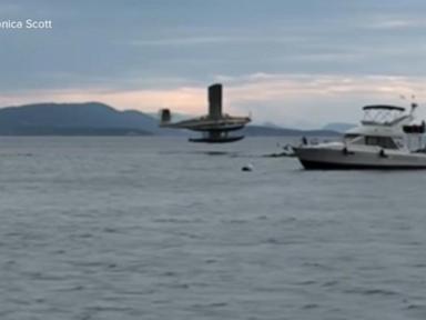 WATCH:  Dramatic rescue after seaplane crashes, bursts into flames