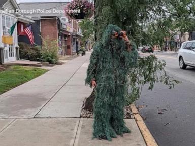 WATCH:  New Jersey officer, disguised as shrub, catches alleged distracted drivers