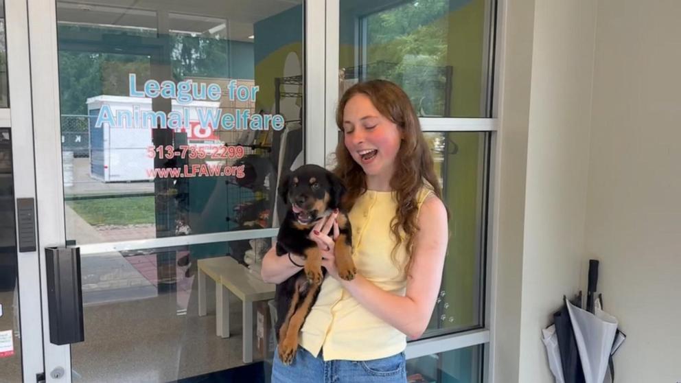 VIDEO: David Muir reports on NFL teams pairing players and adoptable pups before preseason