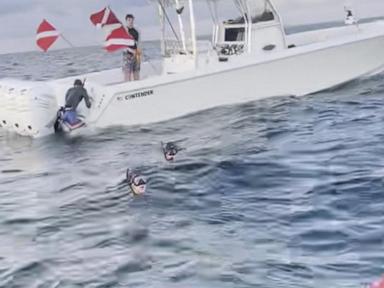 WATCH: Miami man charged with attempted murder after lobster dispute