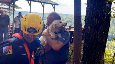 VIDEO: Dog clinging to cliff's edge for 17 hours rescued by local Tennessee fire crew