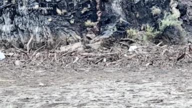 VIDEO: Over 20 feared missing in Grand Canyon after flash flood
