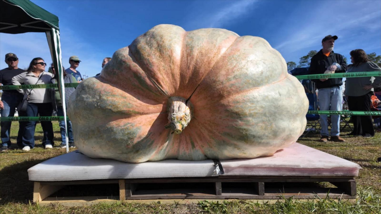 WATCH:  Rhode Island farmer sets new record for world's biggest pumpkin