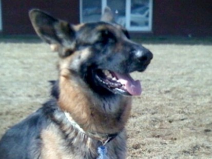 VIDEO: Police responding to an save a mans life follow his best friend to the scene.
