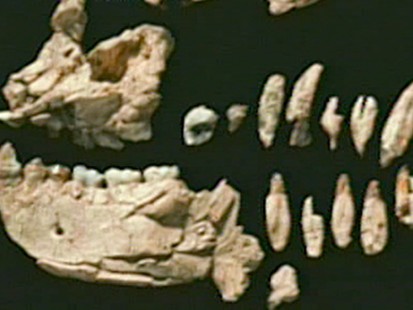 VIDEO: The Oldest Human Ancestor