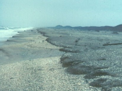 VIDEO: History may teach a valuable lesson about what will happen next in the Gulf.