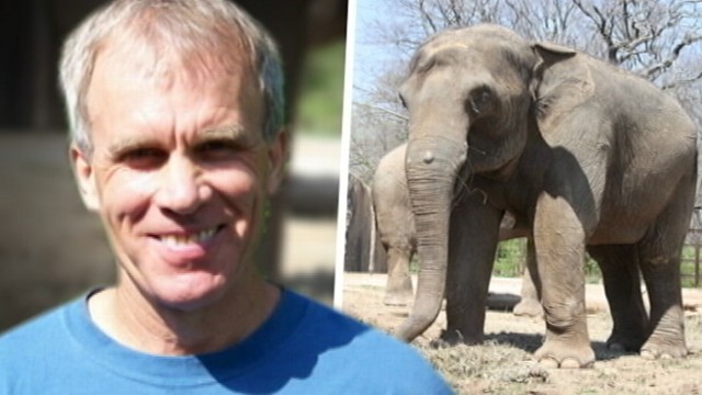tyke the elephant kills trainer
