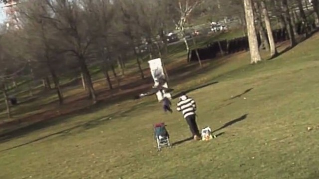 Hoax Video Of Eagle Snatching A Baby Goes Viral