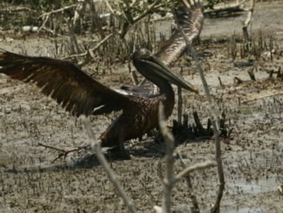 VIDEO: Gov. Bobby Jindal Discusses BP