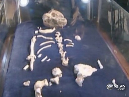 VIDEO: A paleontologists son may have discovered the missing link.