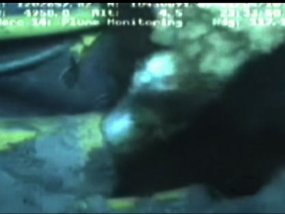 VIDEO: Experts cannot agree on the amount of oil that has spilled into Gulf waters.