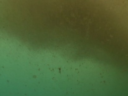 VIDEO: A Look Below the Waters