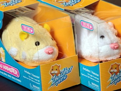 VIDEO: Zhu Zhu Pets Safe Despite Unsafe Claims