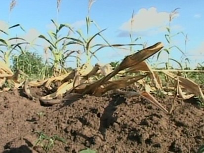 VIDEO: Starvation in Kenya