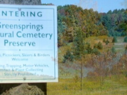 green cemetary