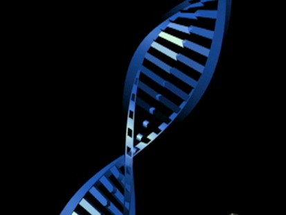Double Helix
