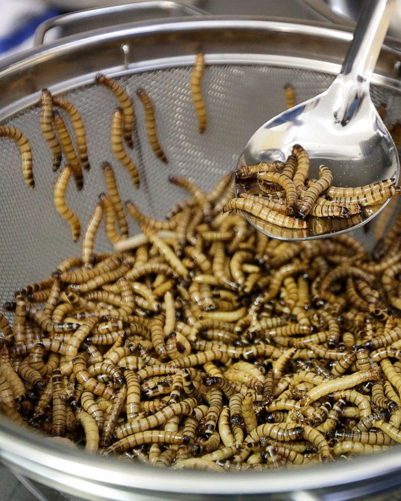 Cafe Croissant Worms Eu Agency Says Worms Safe To Eat Abc News
