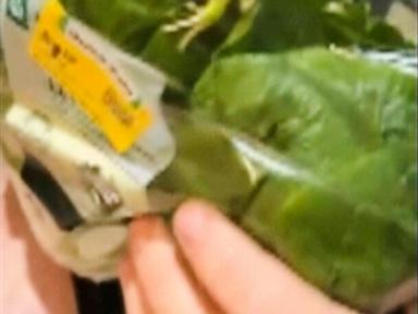 The Supply Chain Architecture of Ready To Eat Salads and the Mechanics of Contamination Failure