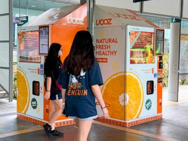 Structural Integrity of Public Order The Jurisprudential Mechanics of Singaporean Criminal Prosecution