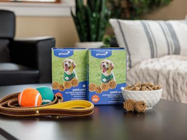 How Girl Scouts Dog Biscuits Are Rewriting the Rules of the Pet Economy