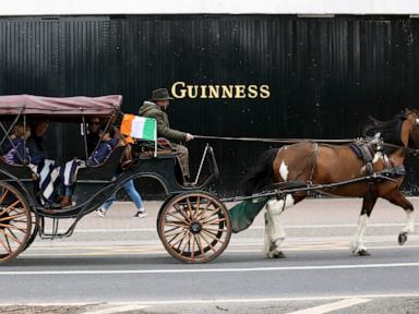 Why The Great Guinness Heist Proves Your Local Pub Is The Real Criminal