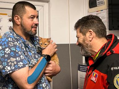 Ukrainian man fleeing war rescued with his kitten on a perilous journey through Romanian mountains