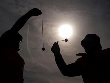 World conkers tournament investigates claims of cheating with steel chestnut