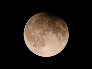 Earth will have a temporary 'mini moon' for two months