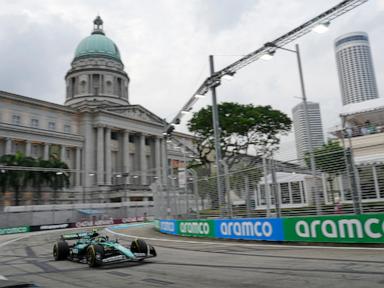 Lizard on track halts Formula 1 practice in Singapore