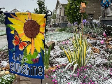 Spring plans meet snow in Denver as a late storm could be the season's biggest