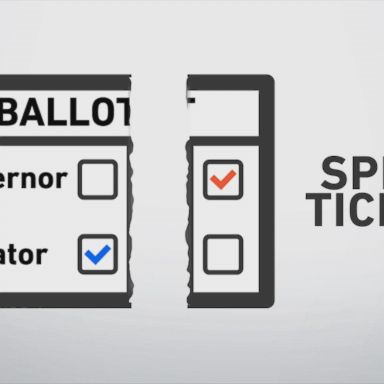 A look at three states likely to vote against party lines in electing their next governor.