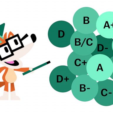 VIDEO: What are pollster ratings? | Polling 101 from FiveThirtyEight