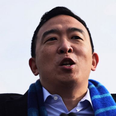 VIDEO: Confidence Interval: Will Andrew Yang be the next Mayor of New York City?