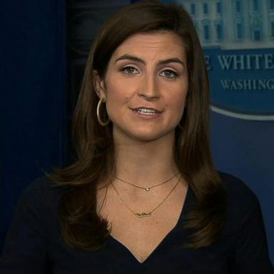 VIDEO: CNN reporter barred from White House event after asking questions