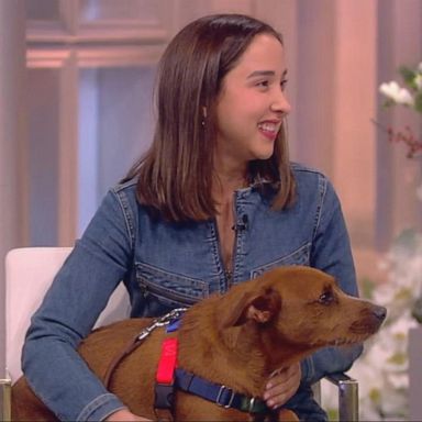 VIDEO: Victoria Lily Shaffer on journey to launch foster-based animal rescue