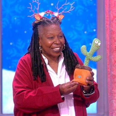 VIDEO: 'The View' co-hosts share their favorite gifts under $50 this holiday season