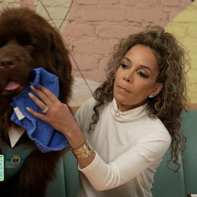 VIDEO: ‘The View’ celebrates National Pet Day with a ‘Yappy Hour’
